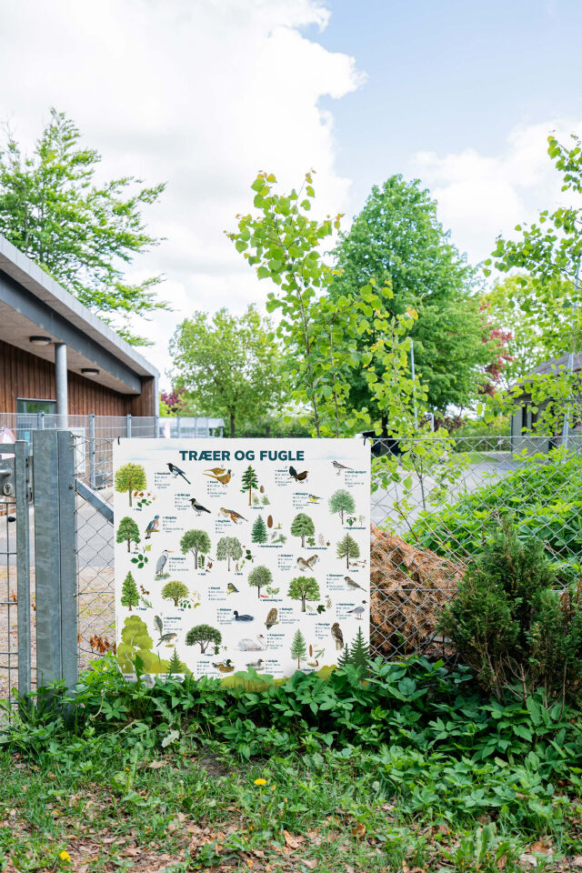 Originale læringstavle fra Exakt med natur