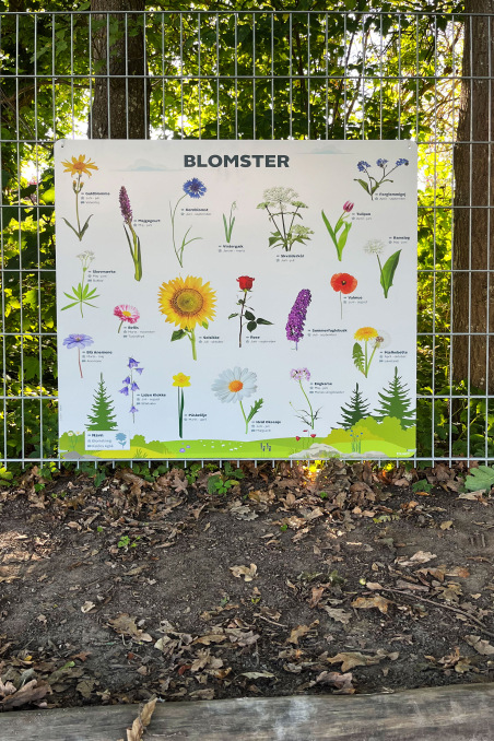 Læringstavler med blomster og natur fra Exakt