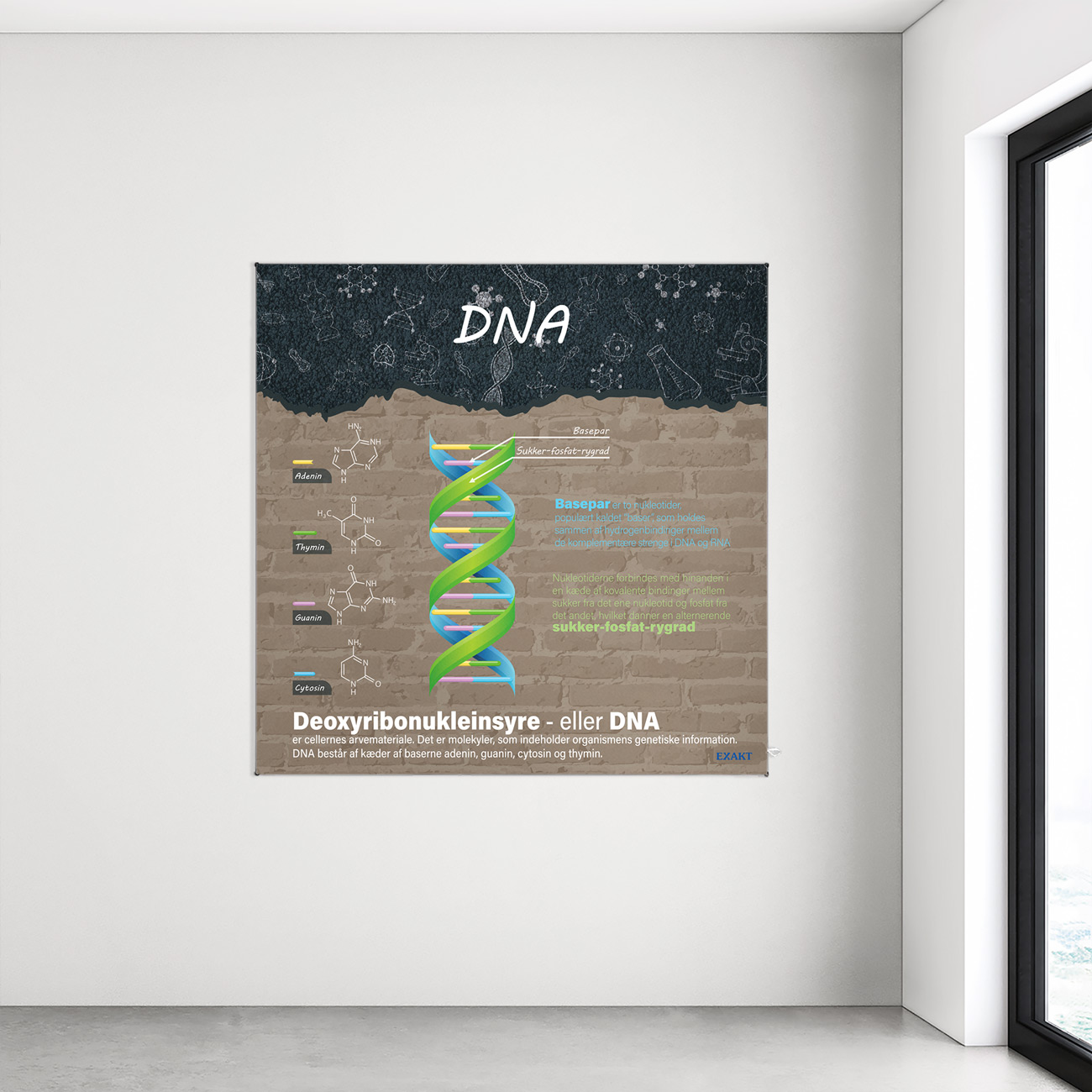 Design med DNA