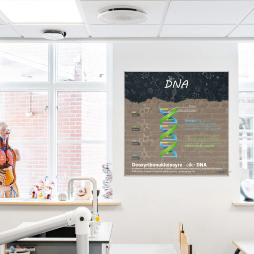 Design med DNA