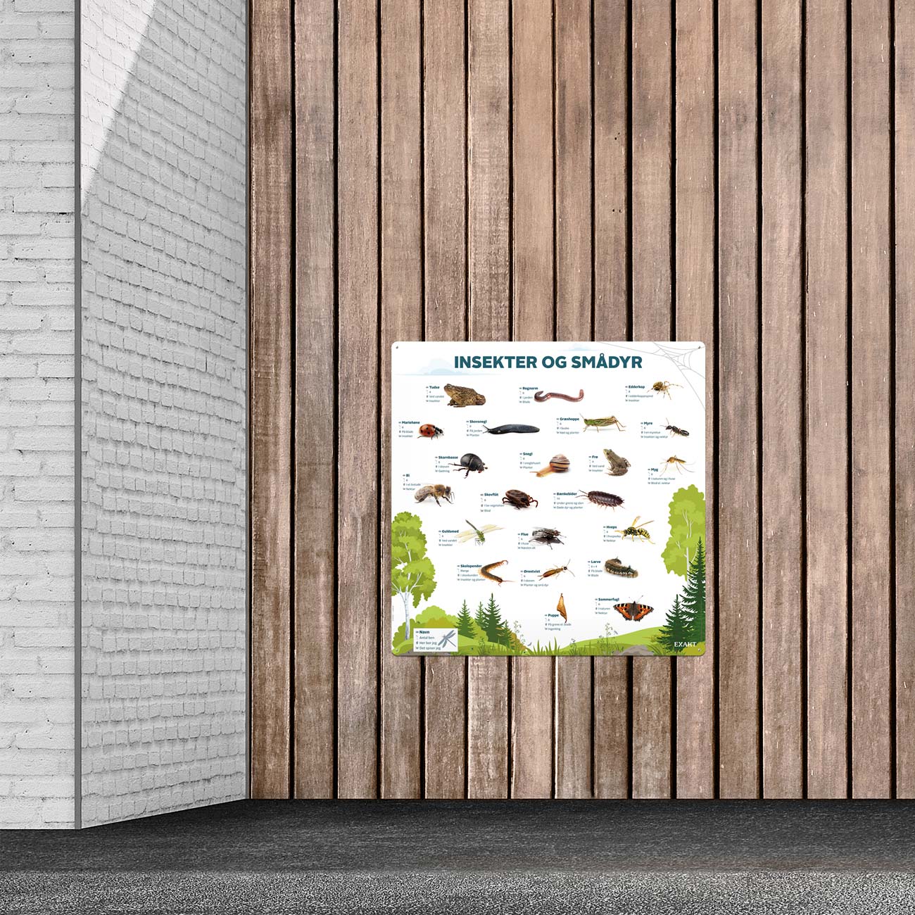 Design med insekter og smådyr