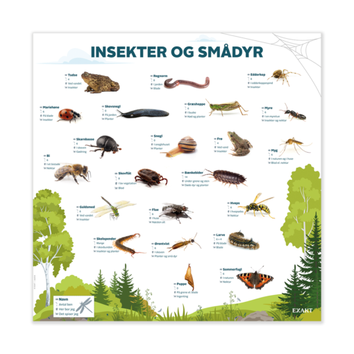 Design med insekter og smådyr