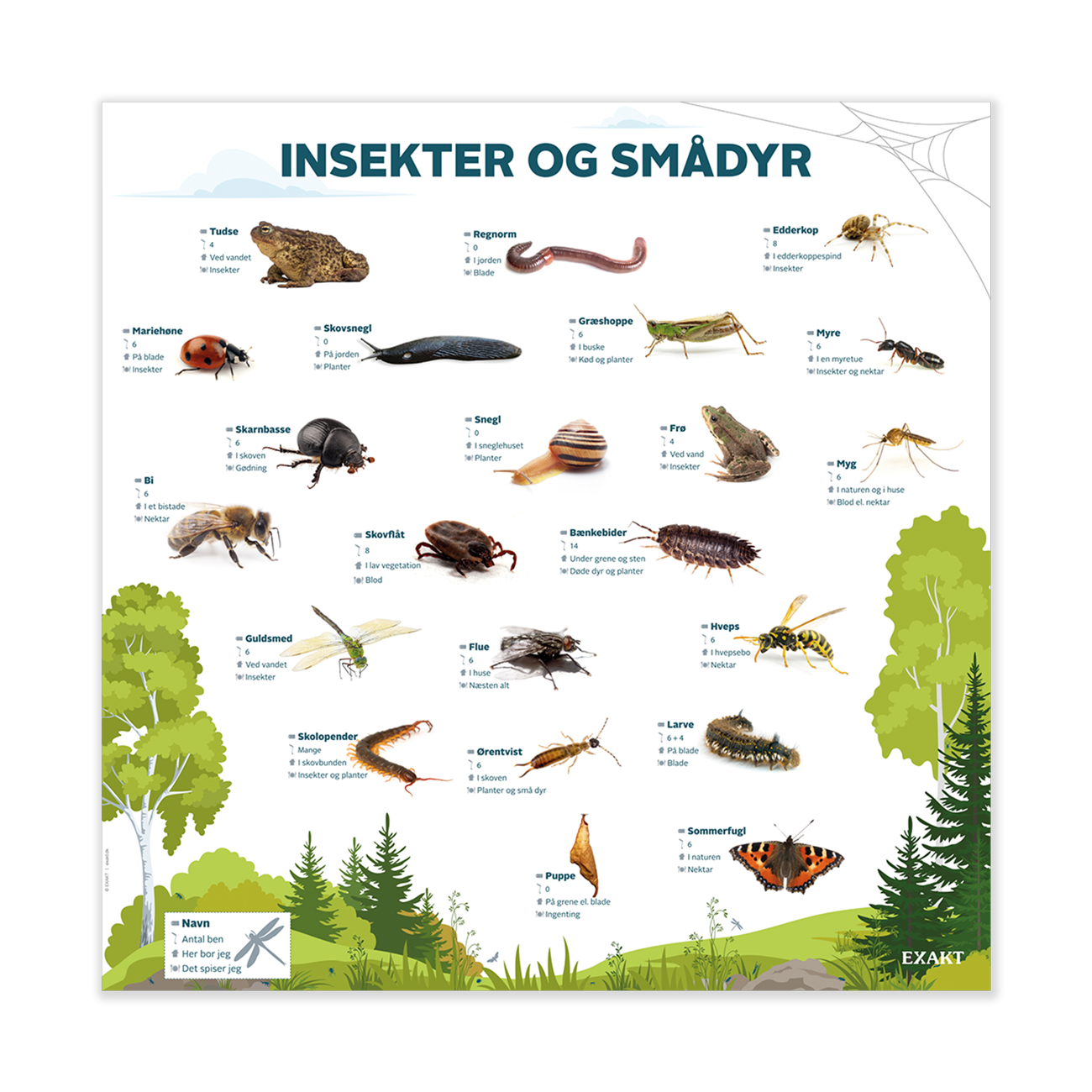 Design med insekter og smådyr